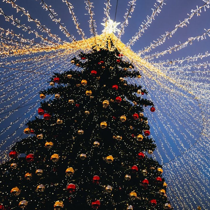 Christmas Light Decorations