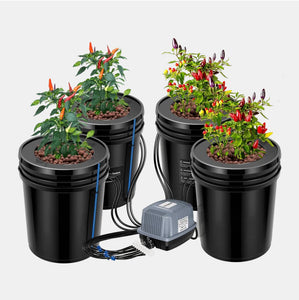 EverGrow 5x Pots DWC 20L Buckets Aerated System Kit Indoor Hydroponics Grower