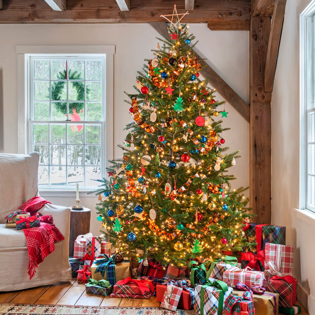 Don't forget your trees for this year's XMAS!