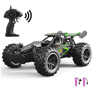Electric RC 2.4Ghz Remote Control Rally Sports Car Toy 20km/h