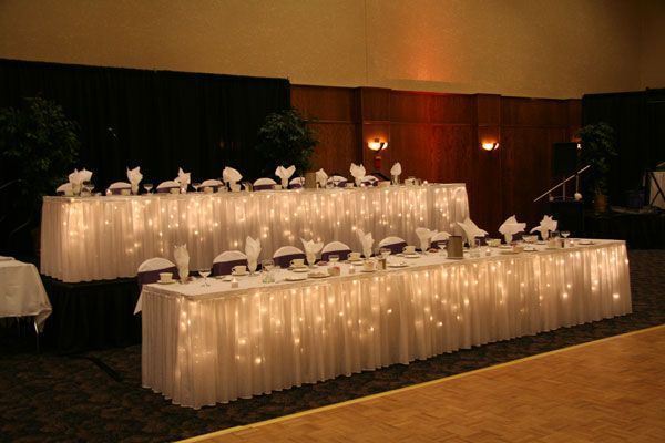 200 LED Table Curtain Wedding Function Lights 7m x 1m Indoor/Outdoor