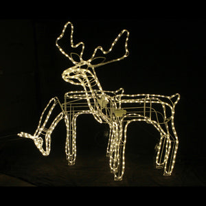 3D LED Christmas Motif Motorised Buck & Doe Reindeers Set Combo