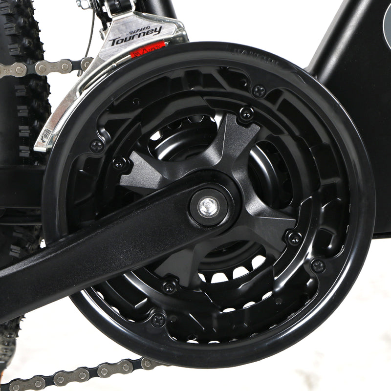 Freestyler XS 36V 8Ah 26" 250W E-Bike Mountain Bike Magnesium Alloy Rims Shimano 21 Speed